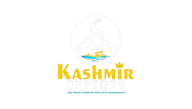 KashmirExperts